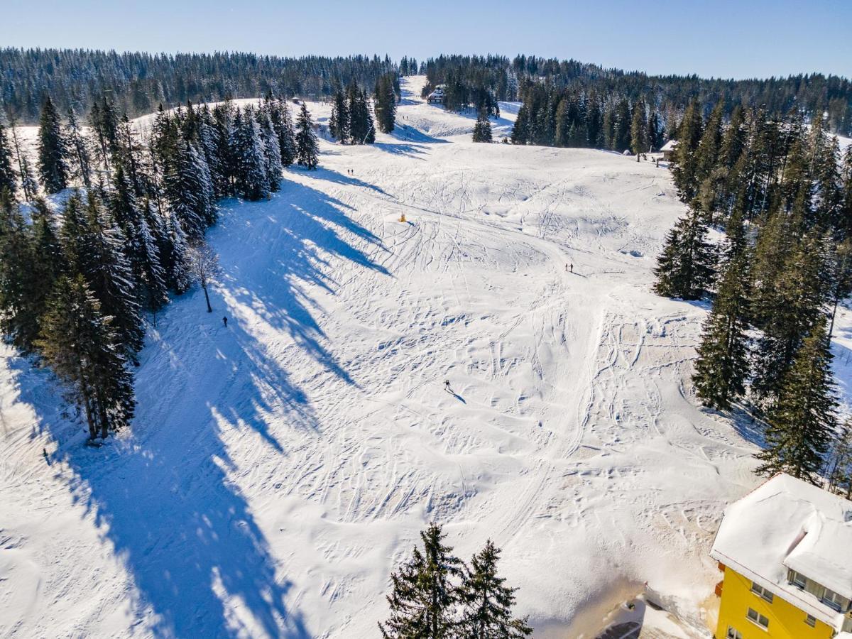 Appartamento Feldberg Domizil - Residenz Grafenmatt Rinken Esterno foto